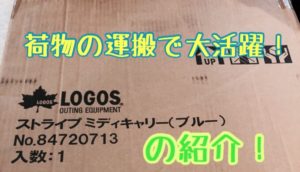 ロゴス(logos)】LOGOS ストライプ ミディキャリーのご紹介&レビュー 